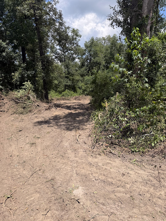 Cleared dirt access through a wooded area