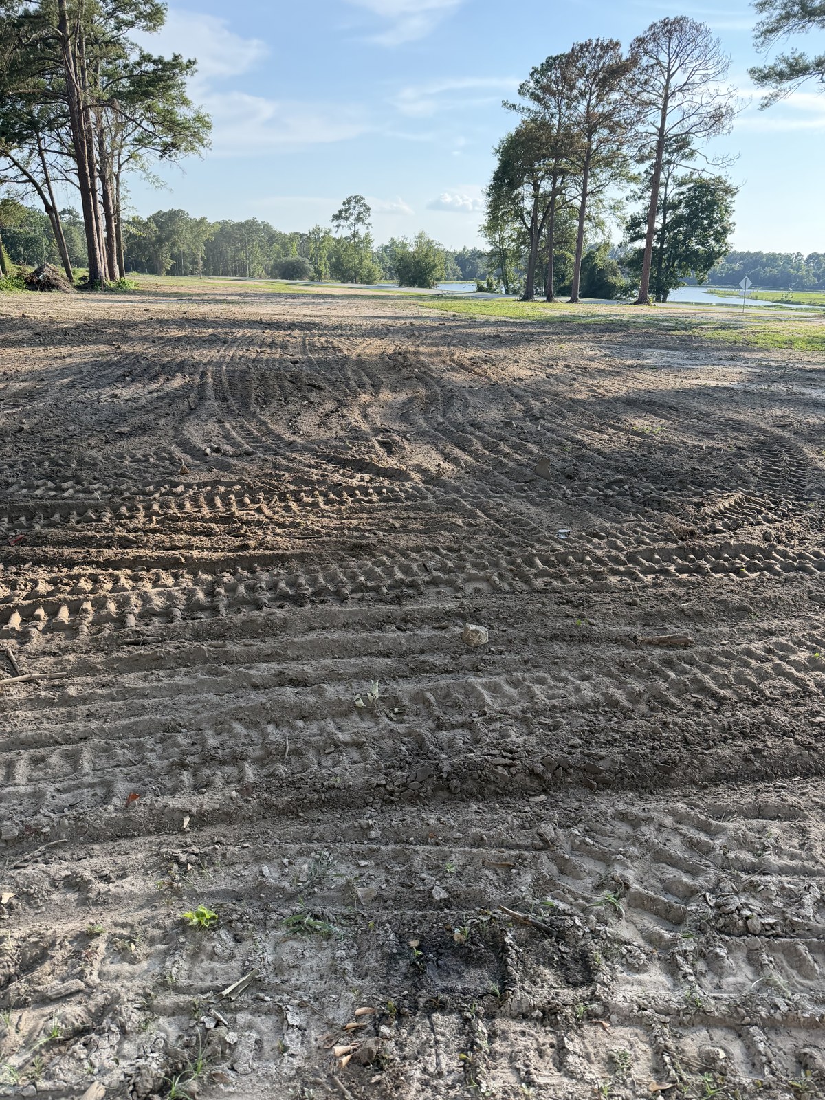 Cleared ground with equipment tracks and standing trees retained