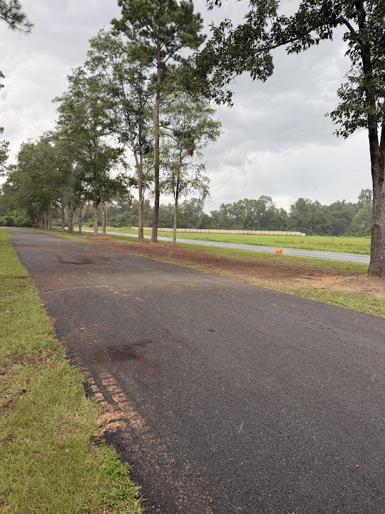 Paved driveway and cleared tree location with neighboring trees standing