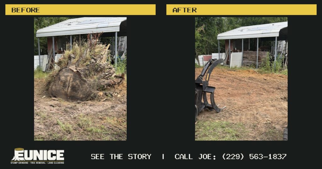 Before and after: A stubborn stump beside a porch