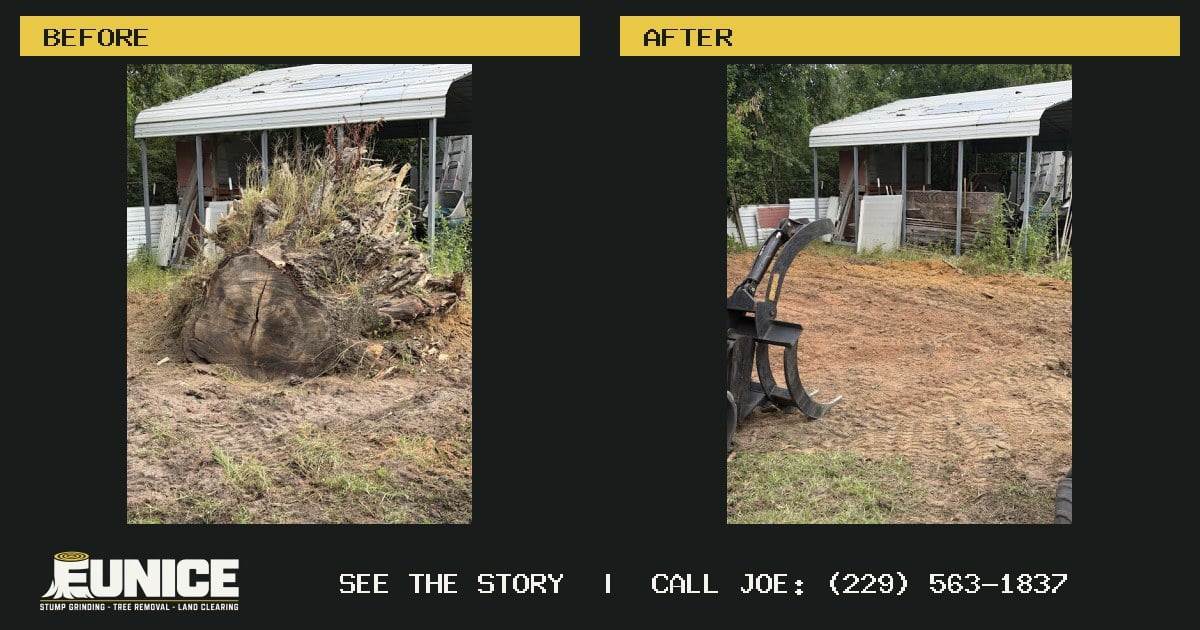 Before and after: A stubborn stump beside a porch