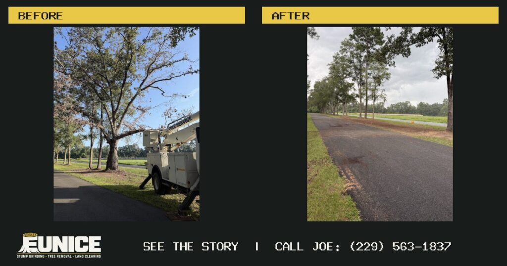 Before and after: From standing tree to a clear driveway edge