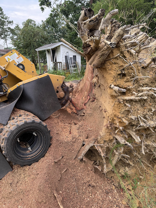 Stump grinder cutting into an exposed rootball beside a porch